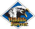 Wildlife Forever
